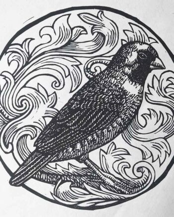 Scrollwork Series : Quail Finch