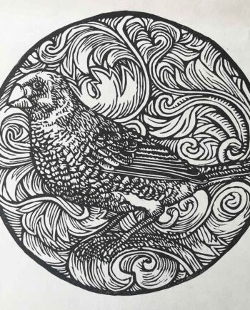 Scrollwork Series : Red-Headed Finch