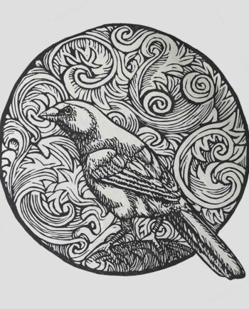 Scrollwork Series : Violet-Eared Waxbill
