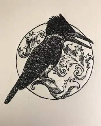 Kingfisher Series : Giant Kingfisher