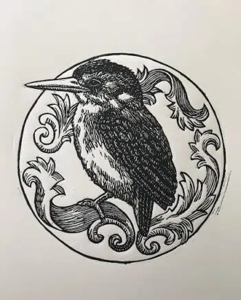 Kingfisher Series : Malachite Kingfisher