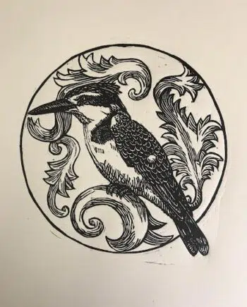 Kingfisher Series : Pied Kingfisher
