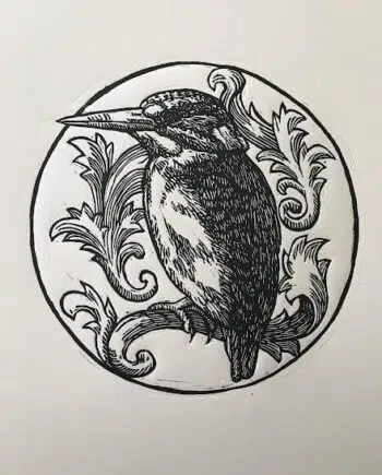 Kingfisher Series : Pygmy Kingfisher