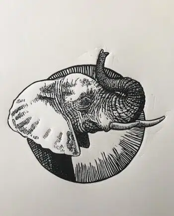 New Big 5 : Elephant