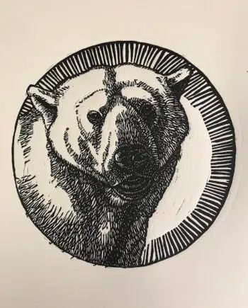 New Big 5 : Polar Bear