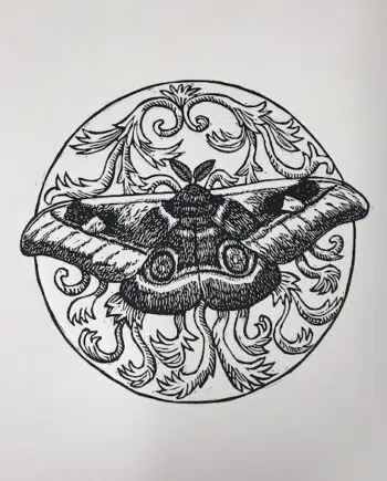 Moth Series : African Emperor