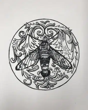 Moth Series : Coffee Bean Hawk Moth