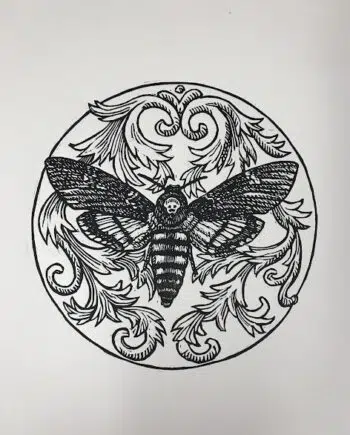 Moth Series : Deaths Head Hawk Moth