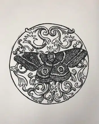 Moth Series : Mopane Moth