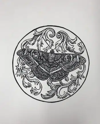 Moth Series : Owlet Moth
