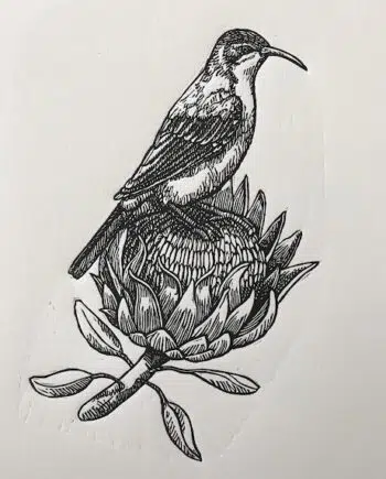 Sunbird and Protea Series: No 1 - Olive-backed Sunbird
