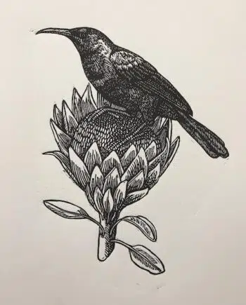 Sunbird and Protea Series: No 10 - Coppery Sunbird