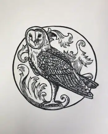 Owl Series : Barn Owl