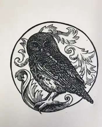 Owl Series : Barred Owlet
