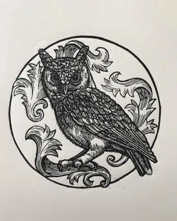 Owl Series : European Scops Owl