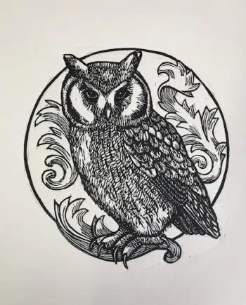 Owl Series : White-faced Owl