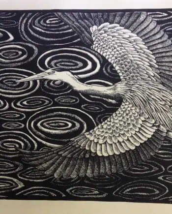 Birds Of A Feather: Water Ripples