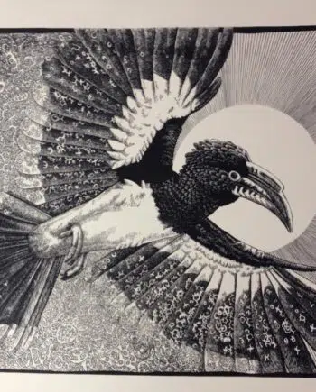 Birds Of A Feather: The Arrival Of The Magician