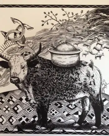 African Wealth: Nguni Bull