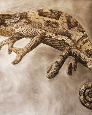 Chameleon Study