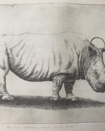 Art for Orphans: White Rhino Study, Etching with Gold Pigment