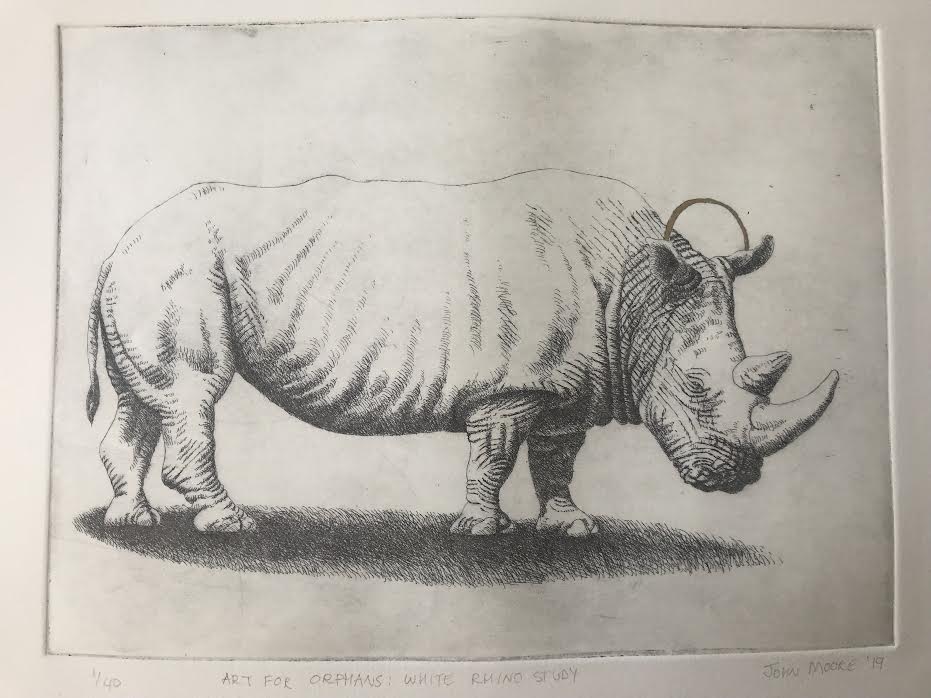 Art for Orphans: White Rhino Study, Etching with Gold Pigment