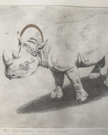 Art for Orphans: Black Rhino Study, Etching with Gold Pigment
