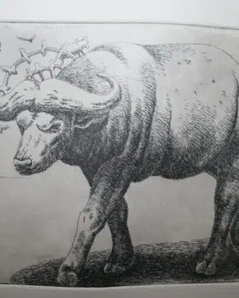 Big 5 - Buffalo