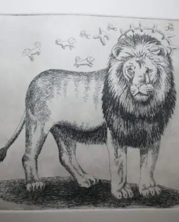 Big 5 - Lion