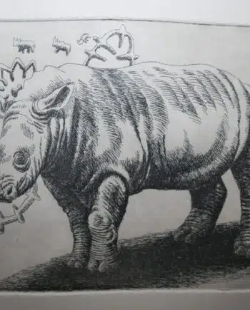 Big 5 - Rhino
