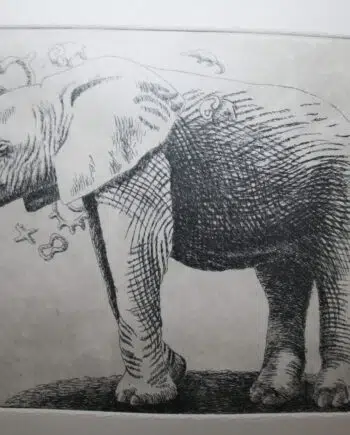 Big 5 - Elephant