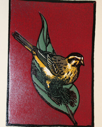 Oracles and Icons - Canary