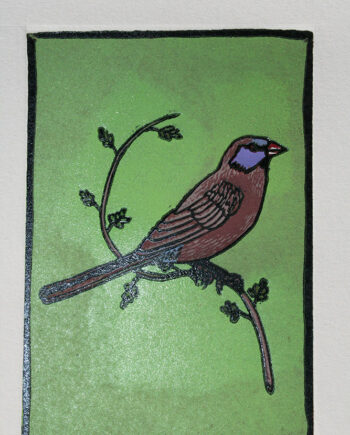 Oracles and Icons - Violeteared Waxbill
