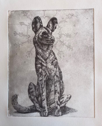 Radiant Wild Dog