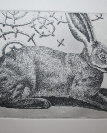 Riverine Rabbit Study