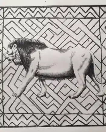 What If Series : Cape Lion
