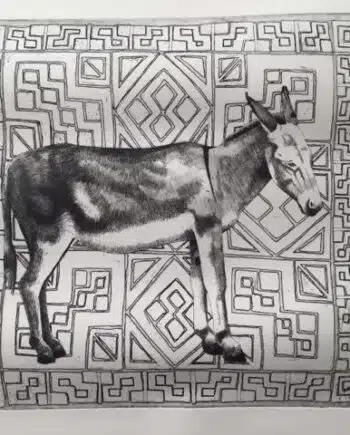 What If Series : Donkey