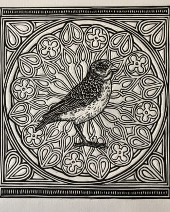 Icon Series : Botha’s Lark