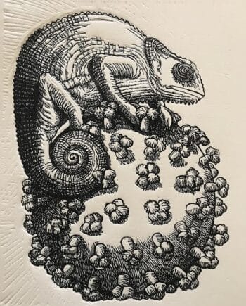 Friend or Foe Series: Chameleon on Virus