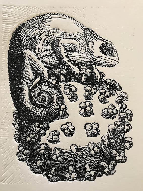 Friend or Foe Series: Chameleon on Virus