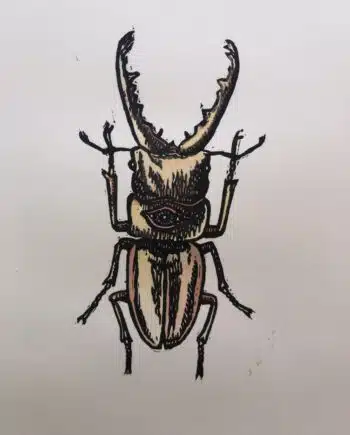 Little Shop Of Horrors - Stag Beetle Sees You