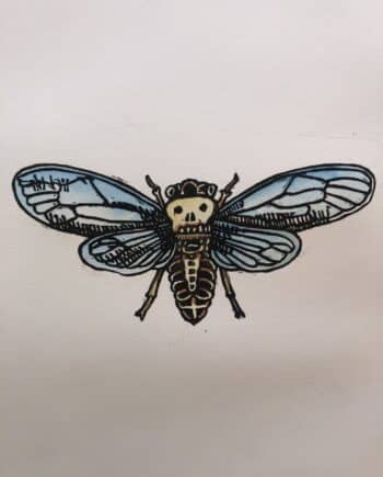Little Shop Of Horrors - Cicada Skull