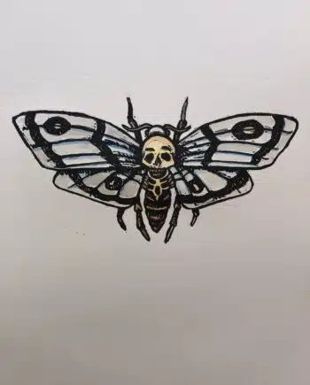 Little Shop Of Horrors - Deaths Head Hawk Moth