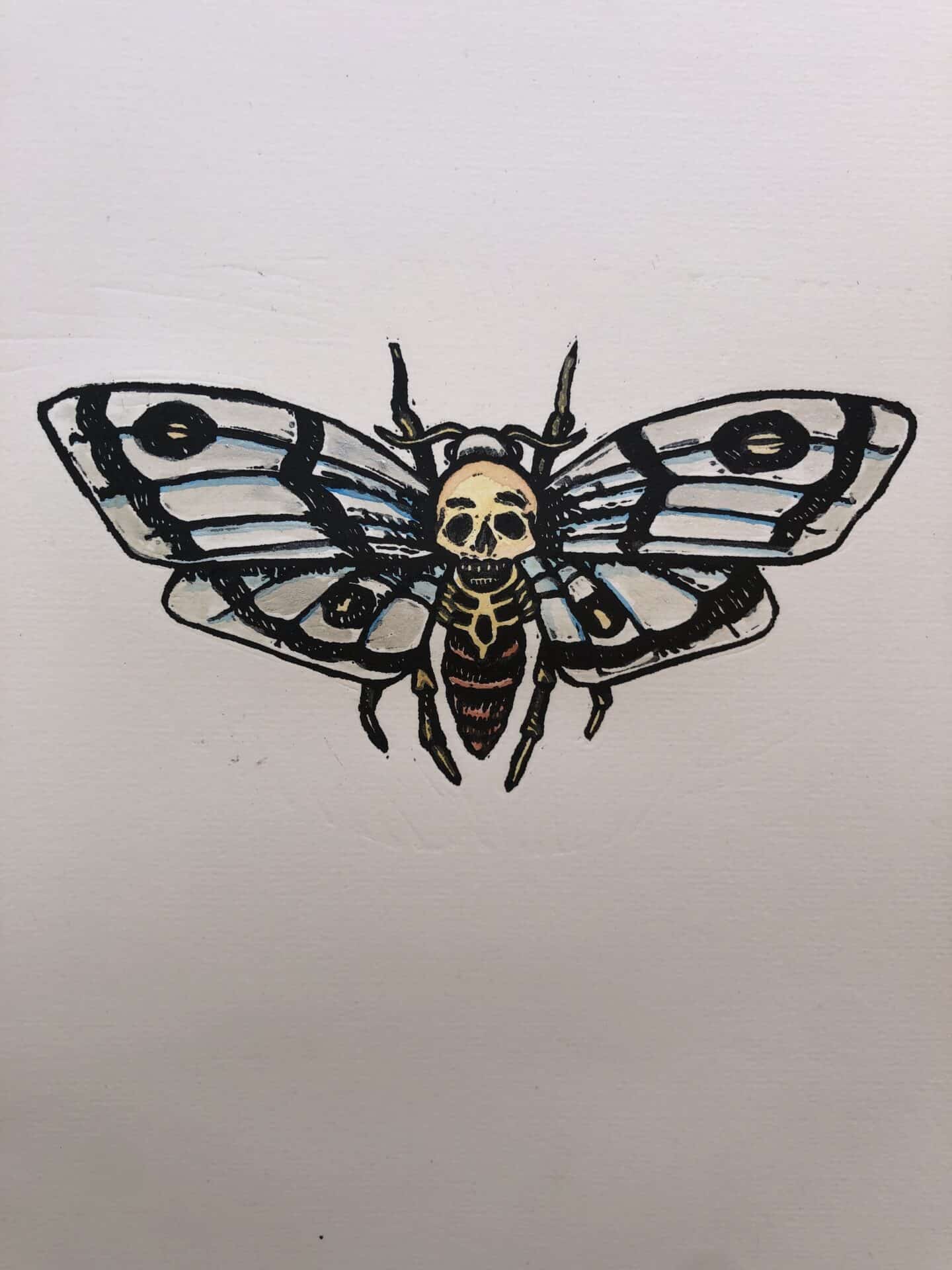Little Shop Of Horrors - Deaths Head Hawk Moth