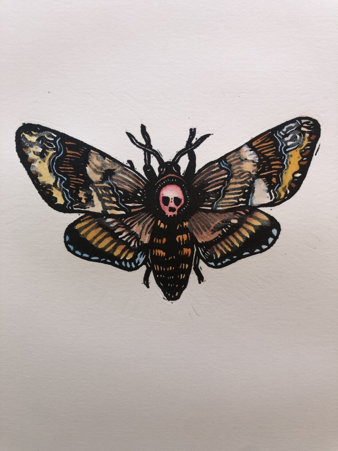 Little Shop Of Horrors - Red Skull Hawkmoth