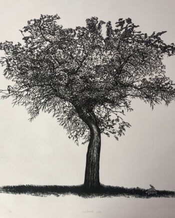 Tree Series - Leadwood Tree