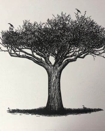 Tree Series - Shepherd Tree