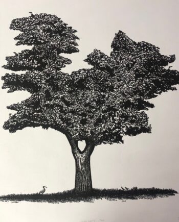 Tree Series - Jackalberry Tree