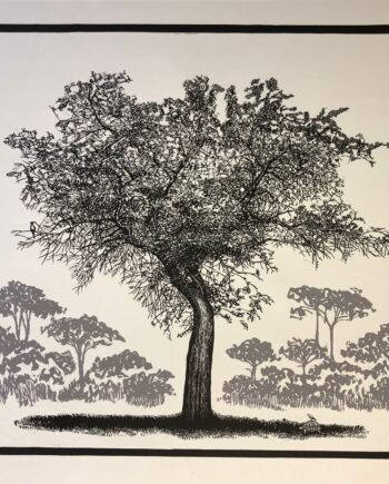 Tree Series - Leadwood Tree - State 2