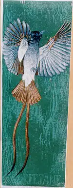 Ujejane